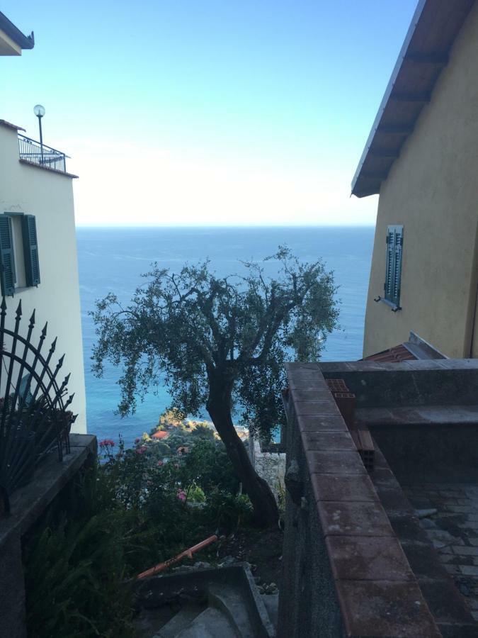 House In Grimaldi. Spectacular View Over The French Riviera! Гримальди Экстерьер фото
